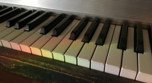 Bai Bai Fender Rhodes